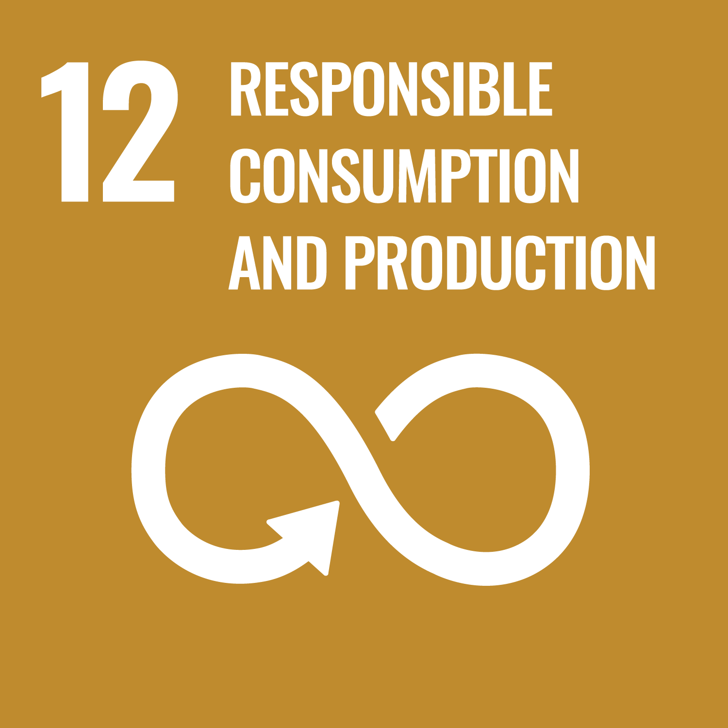 12. Producción y consumo responsables